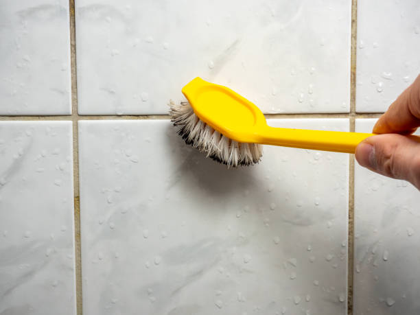 Roscoe, IL Mold Remediation Company