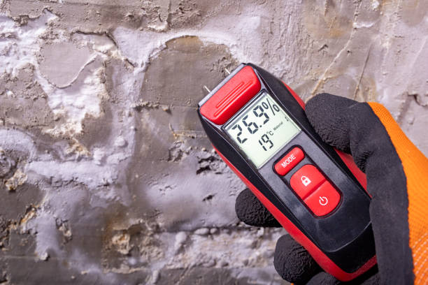 Best Localized Mold Remediation (e.g., coastal areas, humid climates) in Roscoe, IL