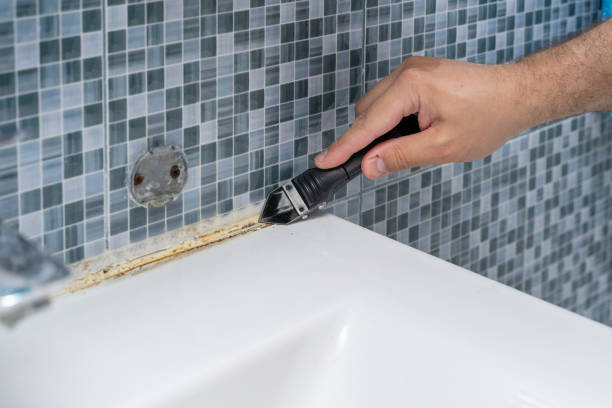 Best Mold Testing and Inspection Services in Roscoe, IL